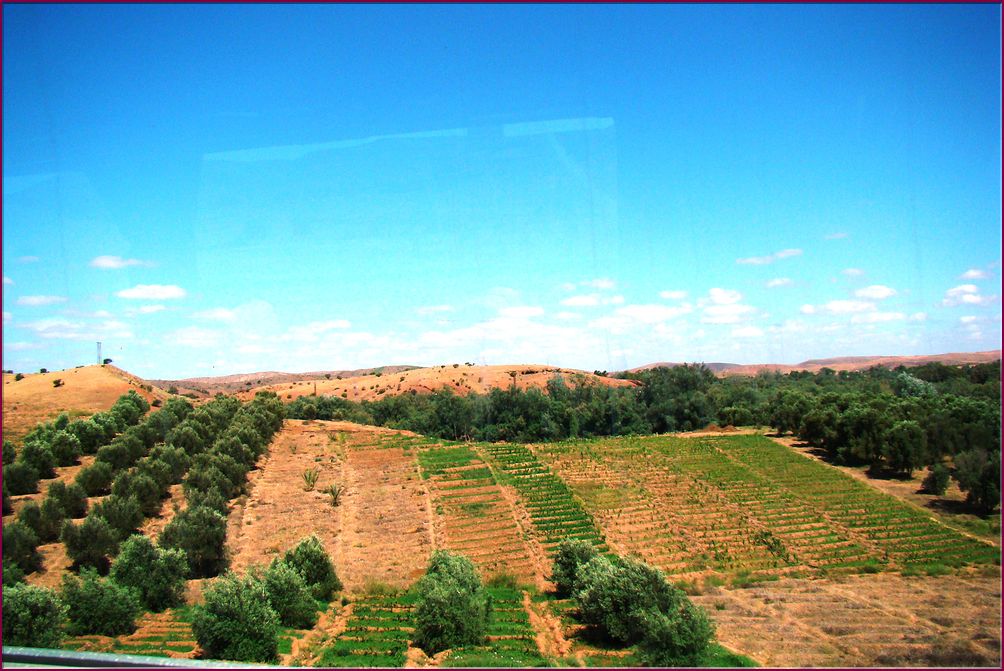 21mai12_paysages vers Agadir (19).JPG