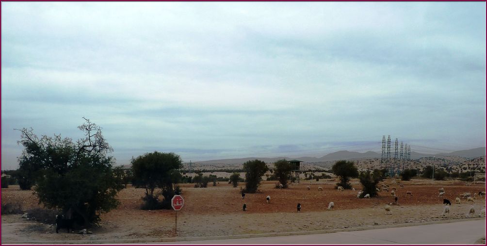 21mai12_paysages vers Agadir (25).JPG