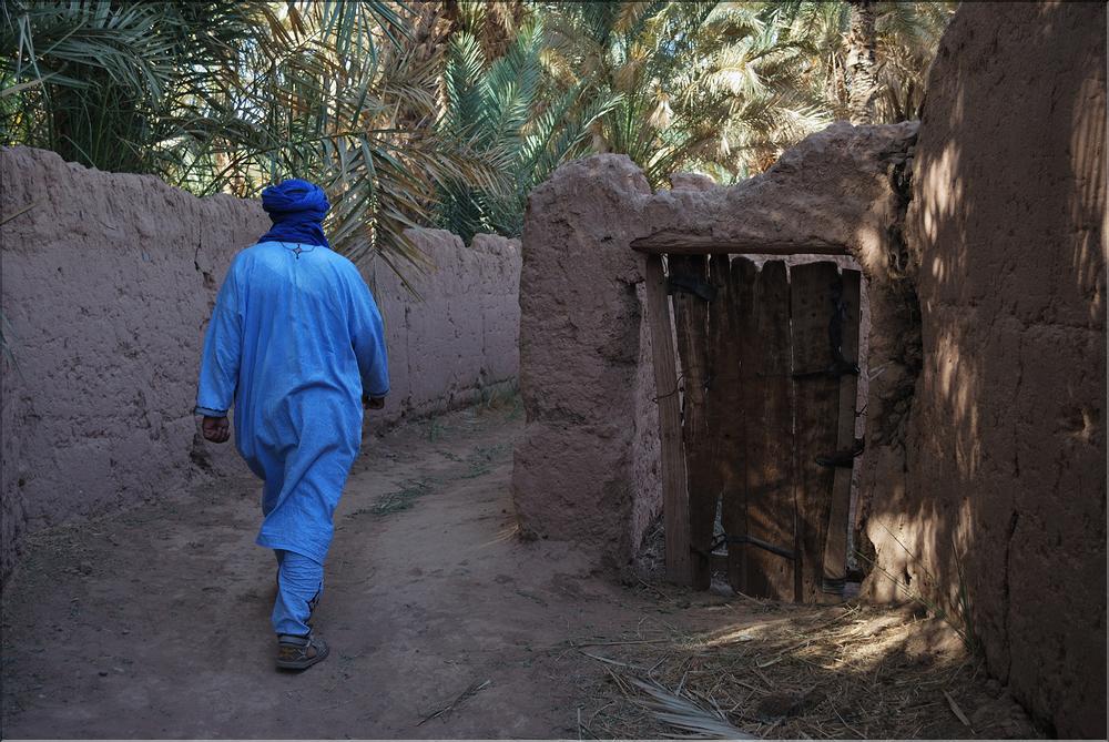 palmerraie Zagora (10)
