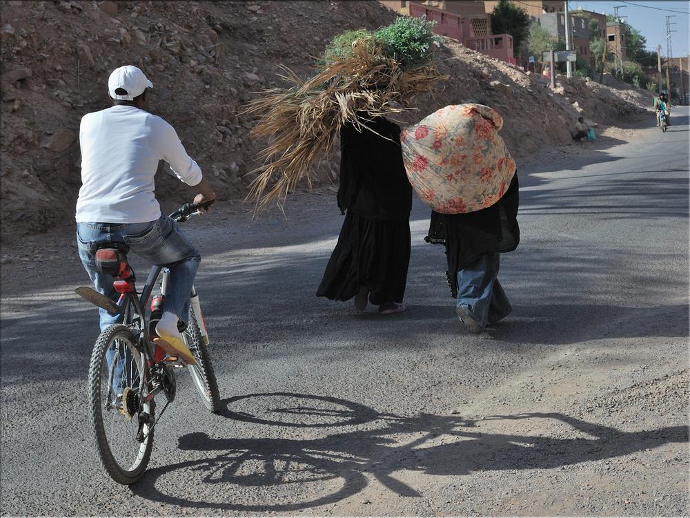 palmerraie Zagora (11)