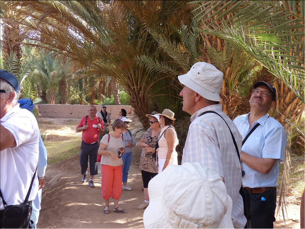 palmerraie Zagora (49)