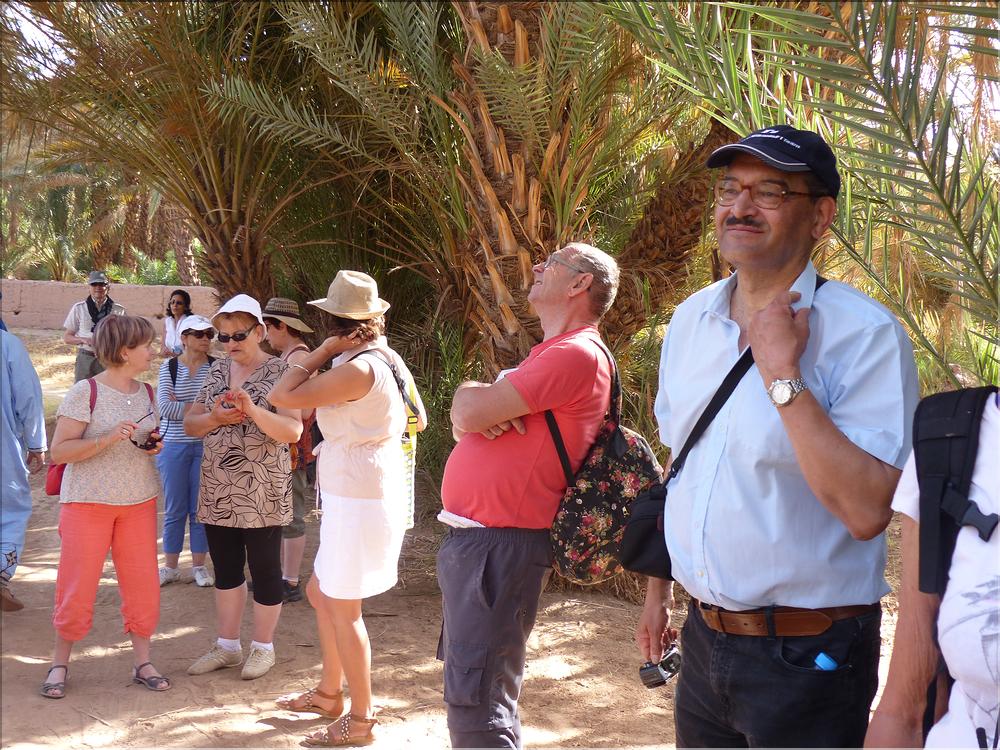 palmerraie Zagora (52)