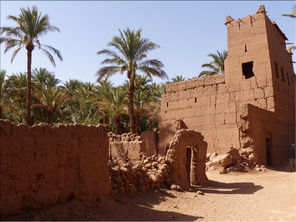 palmerraie Zagora (70)
