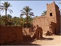 palmerraie Zagora (70)