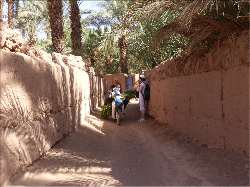 palmerraie Zagora (71)