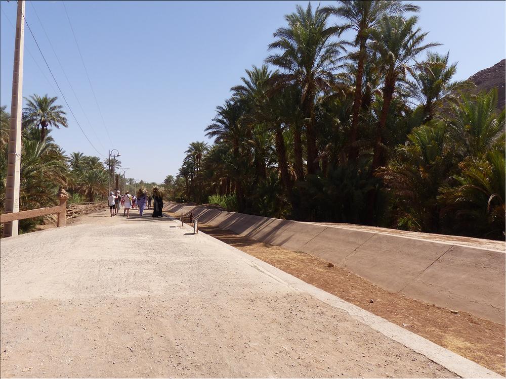 palmerraie Zagora (88)