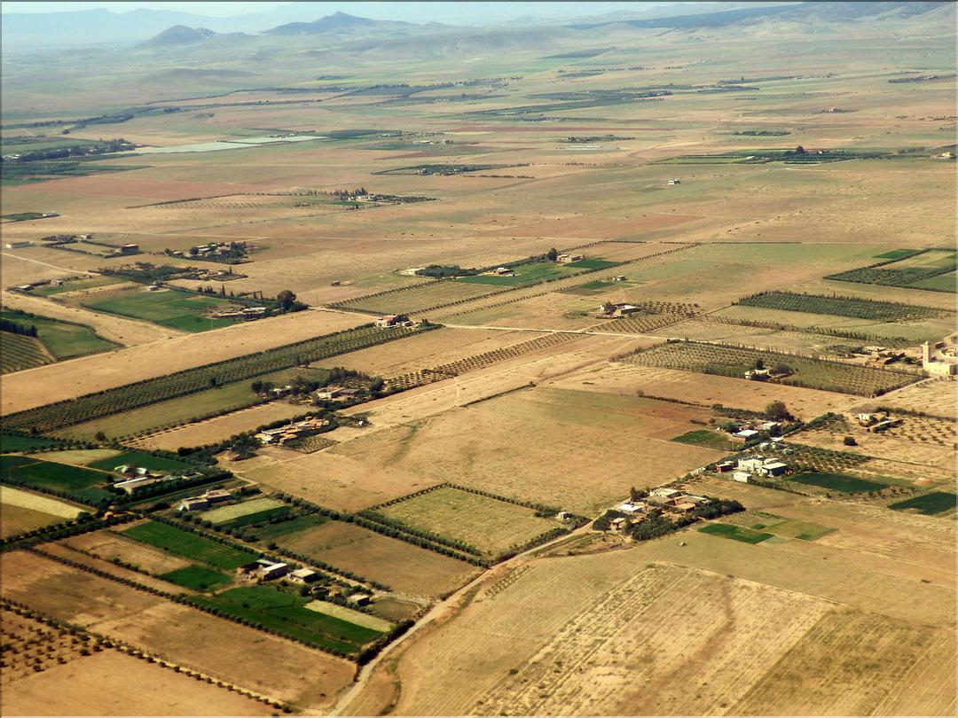 P5202261